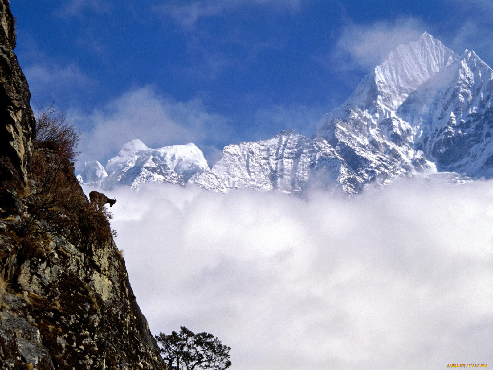 Получить горе. Гора Thamserku. Непал горные козлы. Гора Непал козел. Mount & Nepal.